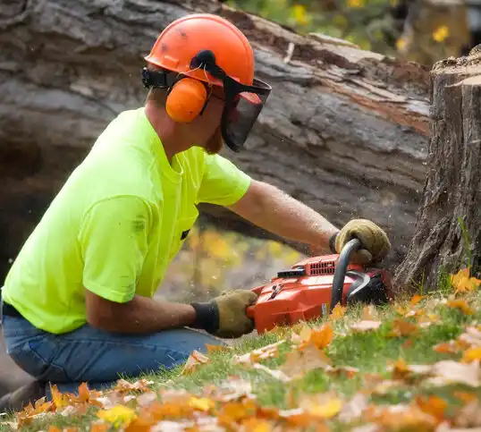 tree services Caneyville